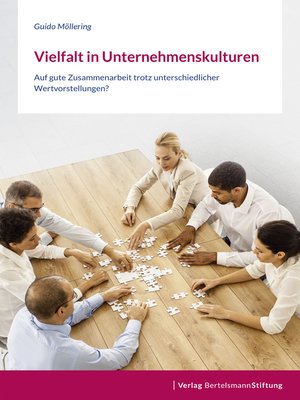 cover image of Vielfalt in Unternehmenskulturen